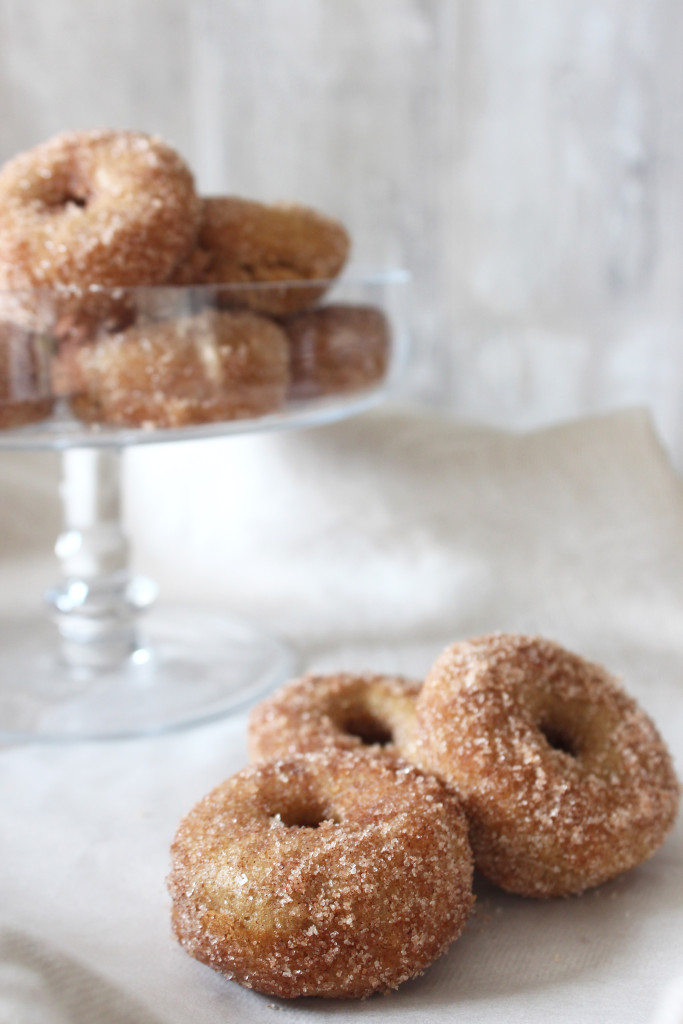 cinnamon-doughnuts