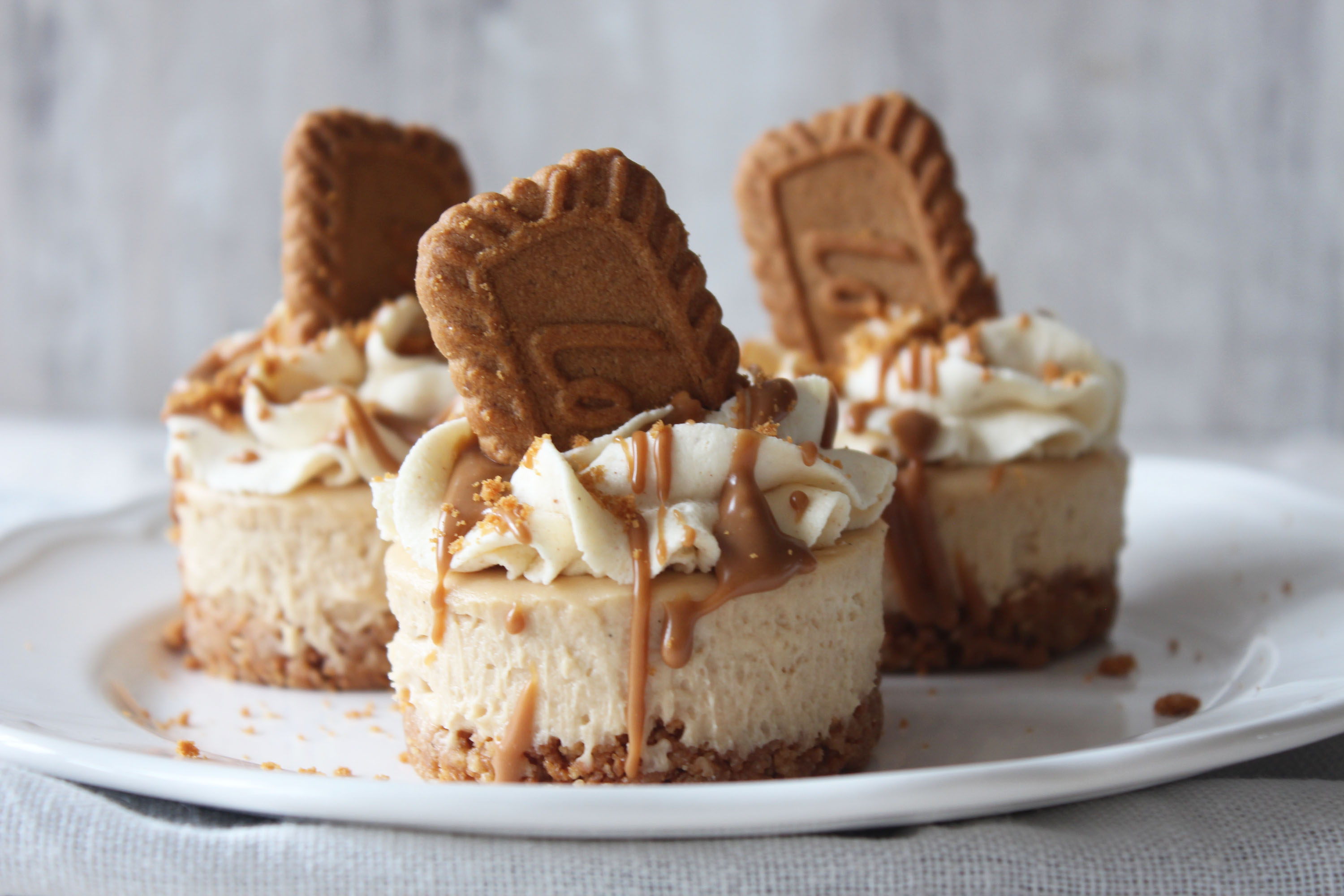Lotus Biscoff Baked Cheesecake – Love and Cheesecake